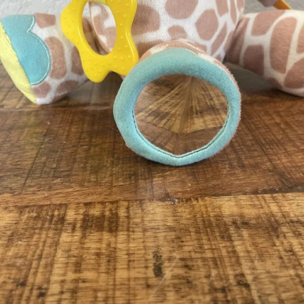 Carters Baby Giraffe Crinkle Rattle Mirror Stuffed Animal Plush Toy Sensory Hang